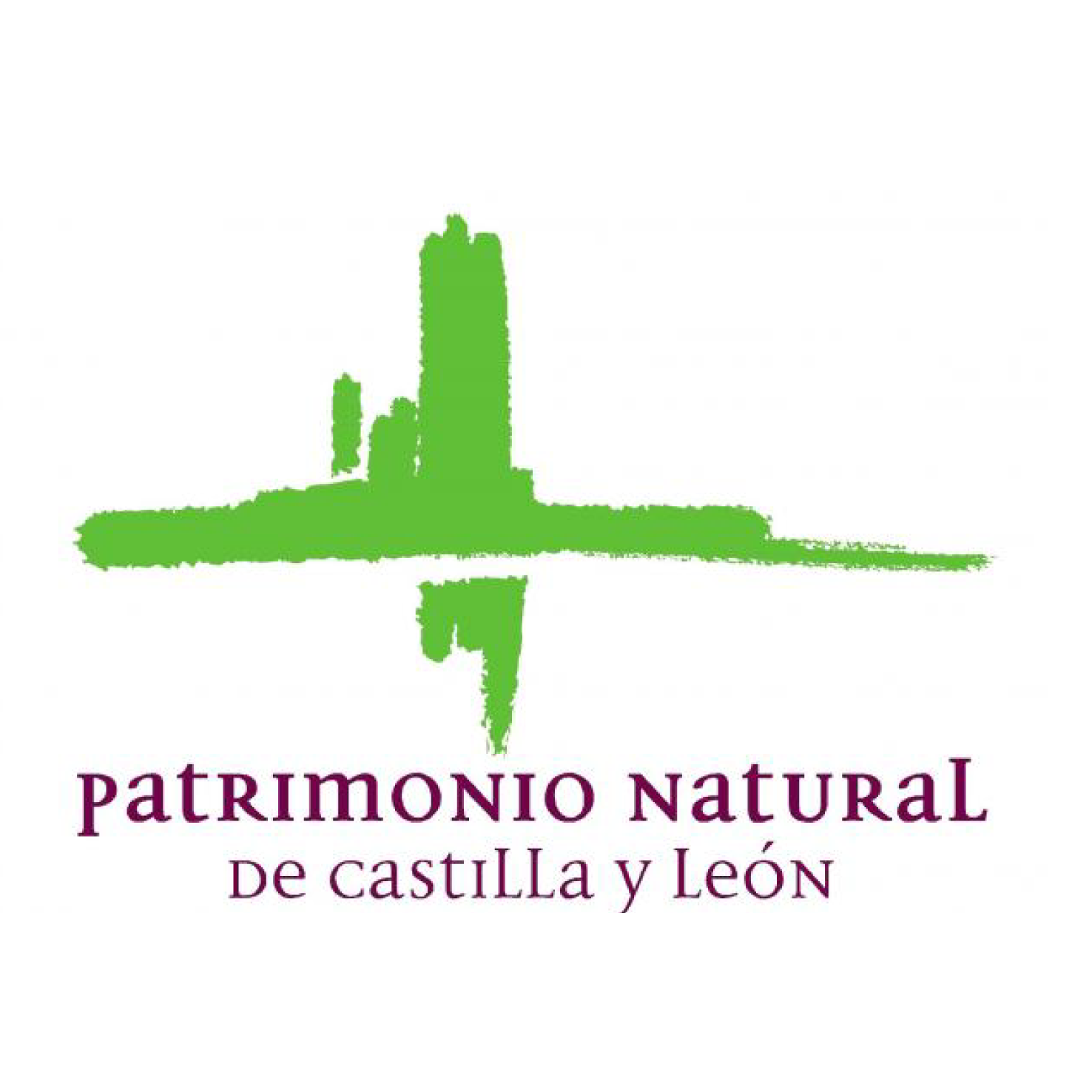 Logo Fundación Patrimonio Natural de Castilla y León